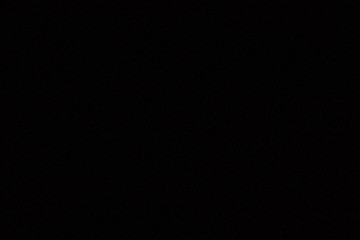 pic4377822.jpg