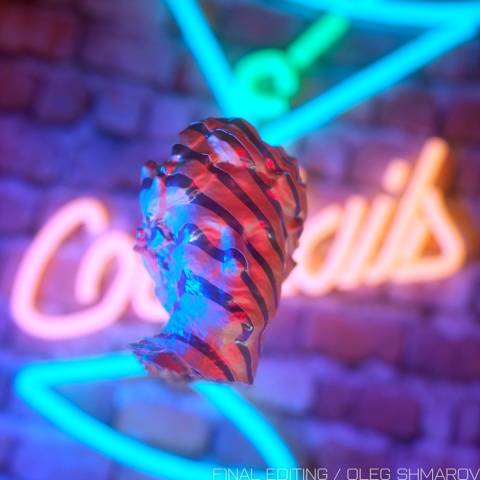 C4D Octane Render