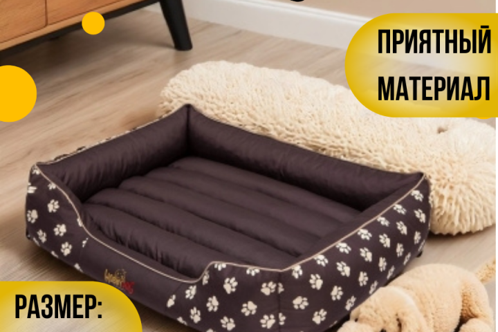 Инфографика