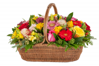 Работа 2130500