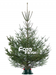 Работа 2151224