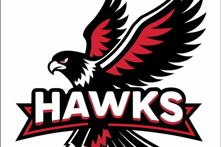 Логотип 'ястребы'