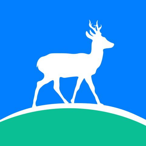 Косуля