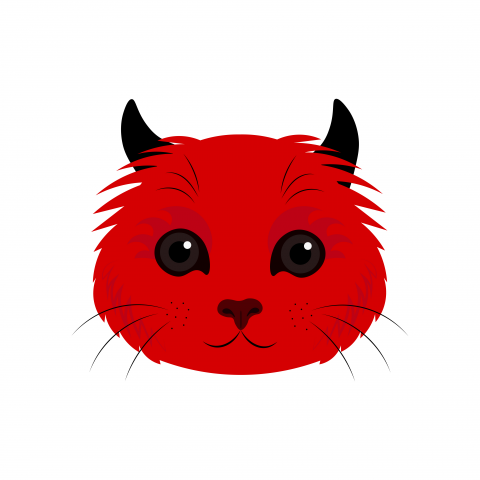 Котик