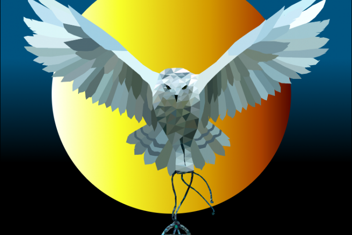 Отрисованная сова