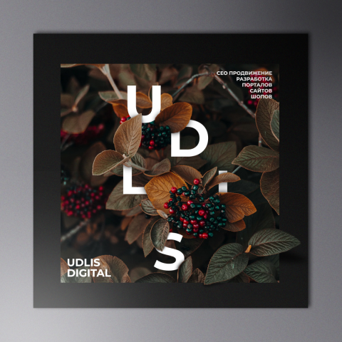 UDLIS DIGITAL