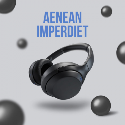 ANEAN IMPERDIET