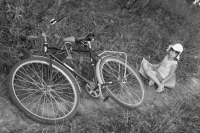 Девочка и велосипед