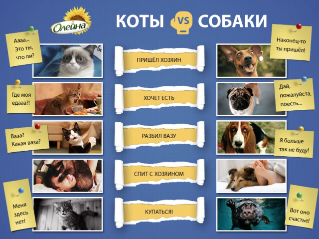 Работа 1654272