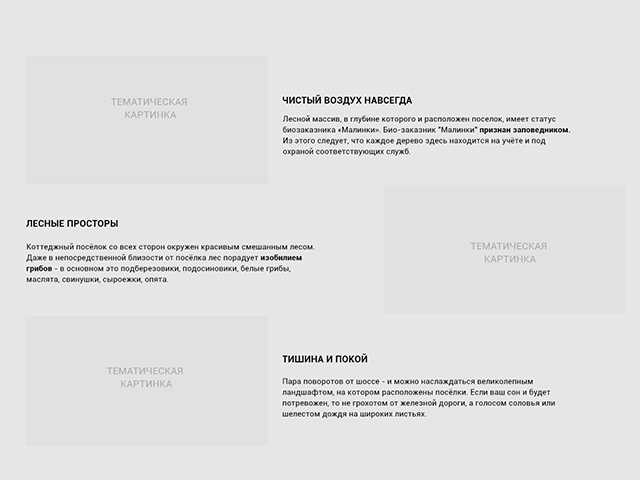 Прототип для сайта Лесной Пейзаж