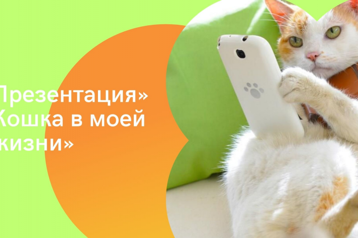 Презентация