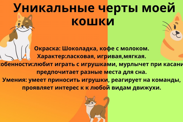 Презентация