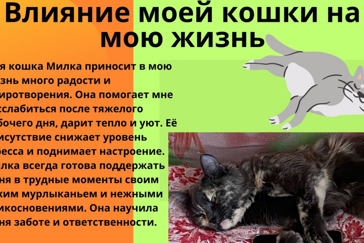 Презентация