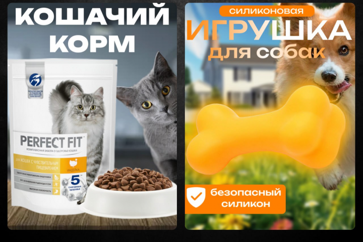 Портфолио