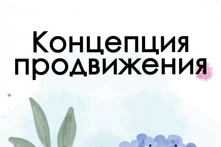 Концепция продвижения на основе анализа ЦА