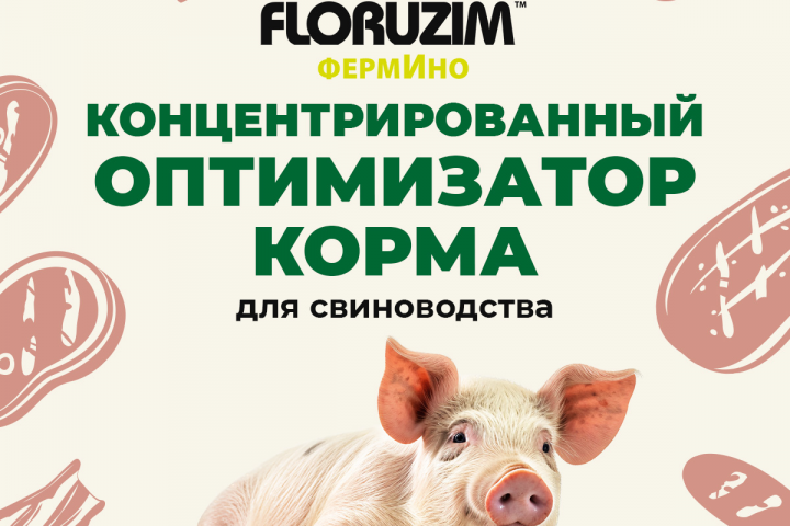 Инфографика ОЗОН и ВБ