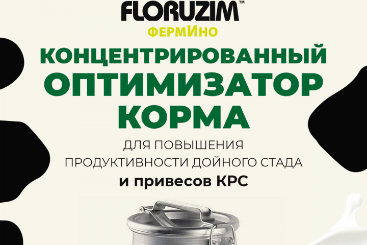 Инфографика ОЗОН и ВБ