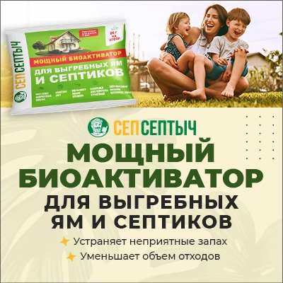 Инфографика ОЗОН и ВБ