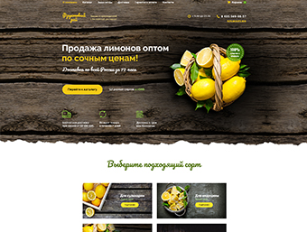 Дизайн лендинга по продаже лимонов