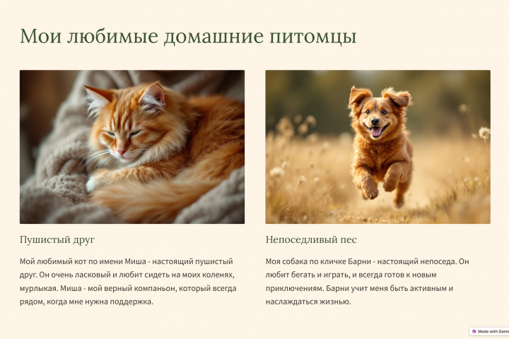 презентация