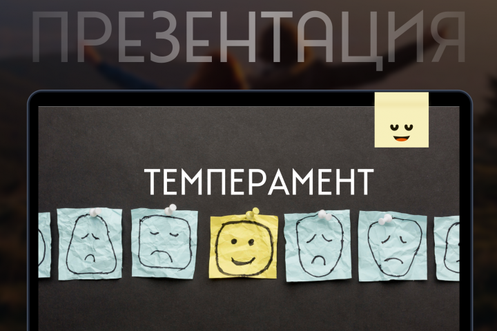 Презентация