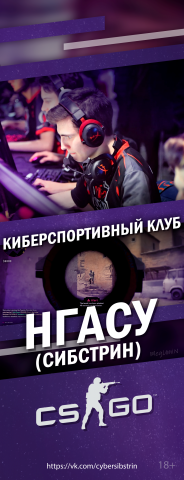 НГАСУ Сибстрин