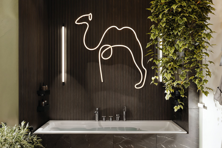 Визуализация санузла