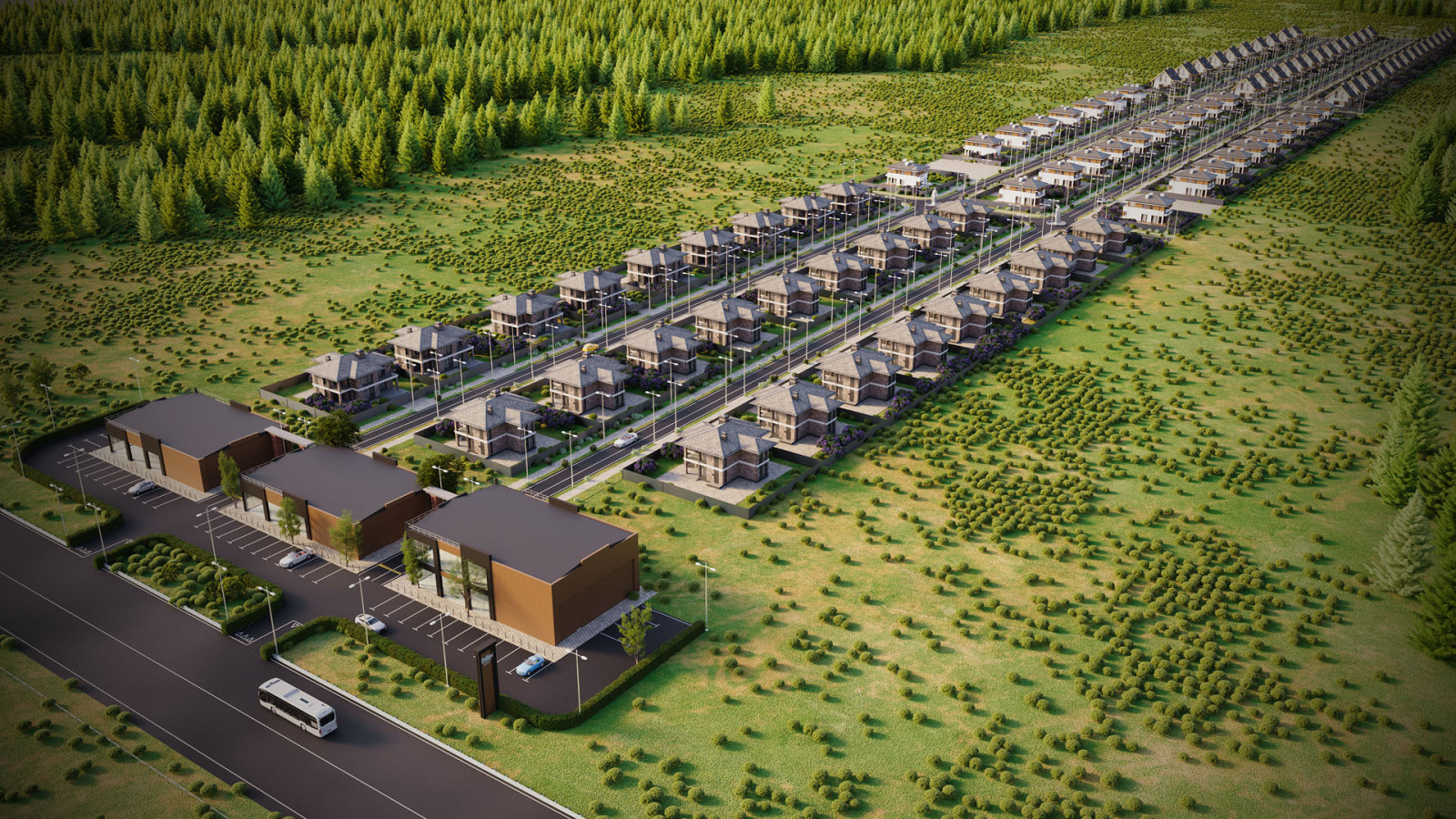 pic4621620.jpg