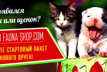 Баннеры для зоо-магазина