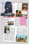 FS / ZOO № 4-5 (19-20) 2012