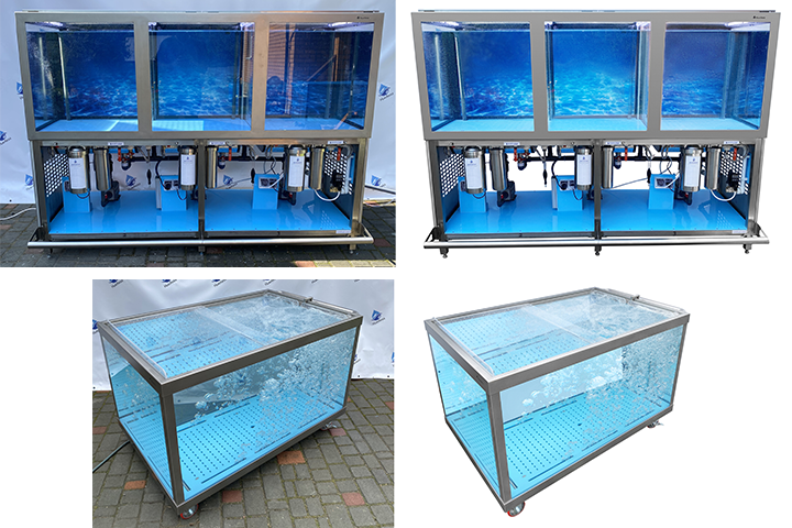 ��������� ���� ���������� ��� �����.