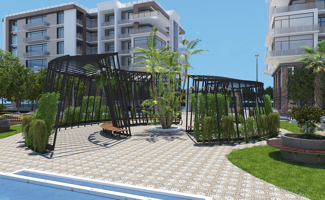pic4520920.jpg