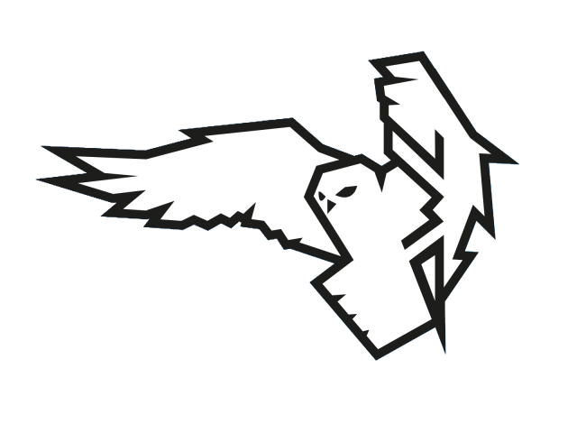 Логотип туристического клуба «OWL»