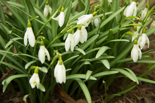 Репортаж с юбилея: Экоцентру "Заповедники" 20 лет_фото 2