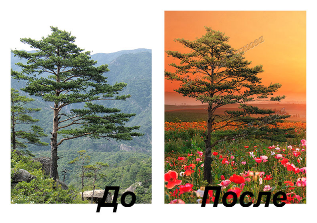 Замена фона