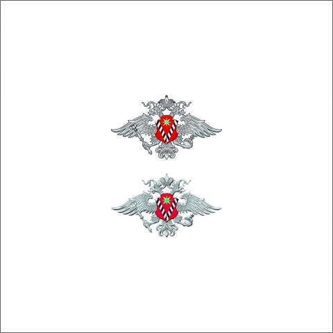 Отрисовка логотипа УФМС