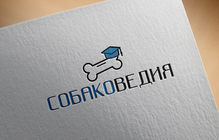 Работа 3705642