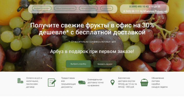 Лендинг для тестирования ниши