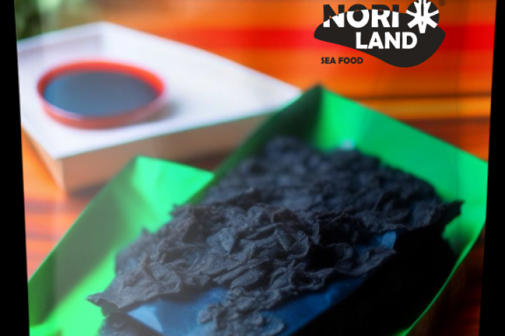 Дизайн упаковки для морской капусты