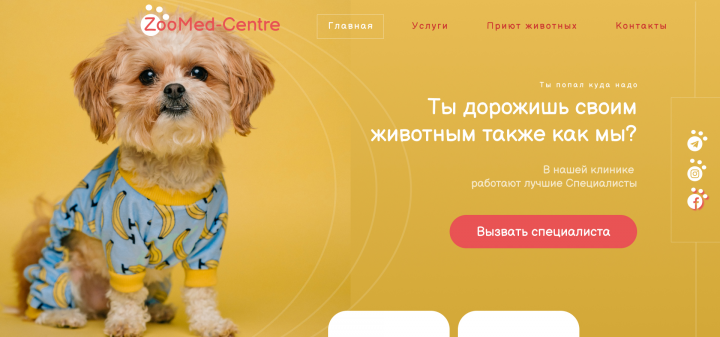 ZooMed-Centre Клиника для животных ( Дизайн главного экрана )
