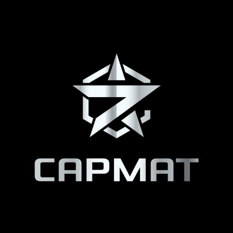 Дизайн логотипа для охранной организации «Сармат»