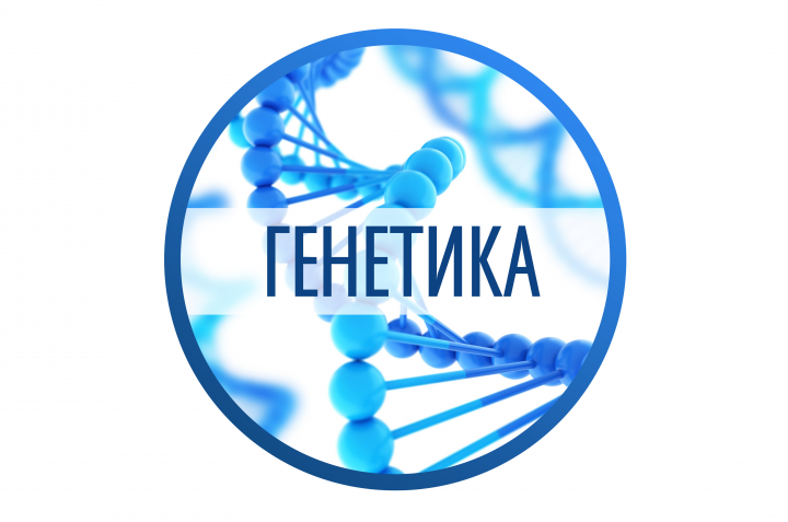 Расшифровка «Генетика»