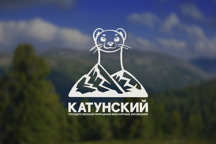 Ребрендинг логотипа для Катунского биосферного заповедника