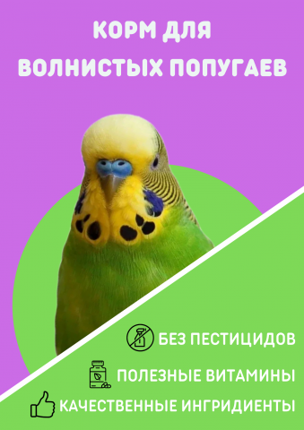 Обложка для корма