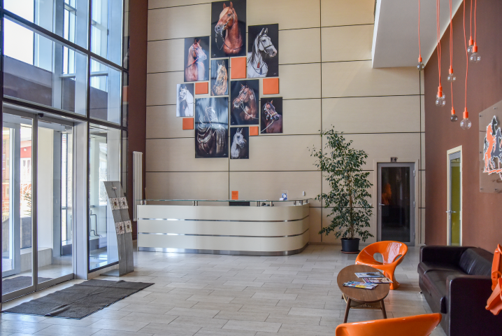 Баннер для зоны барбекю в конном клубе