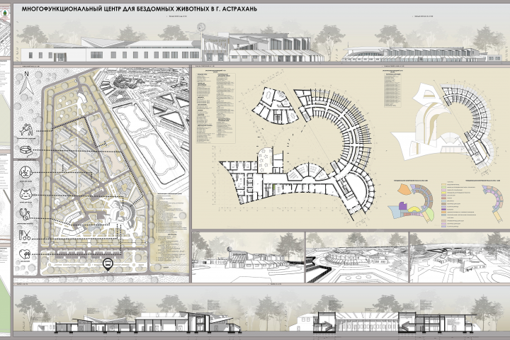 ВКР на тему: "Многофункциональный центр для бездомных животных"