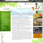 Статьи для сайта клининговой компании Clean-peace.ru