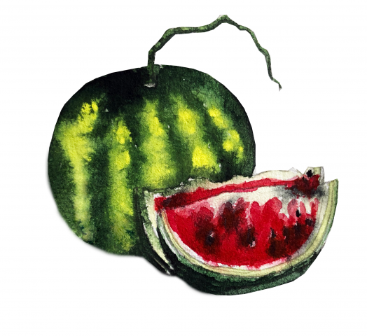 watermelon