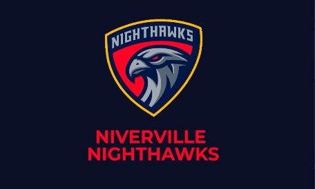 Проморолик для хоккейной команды