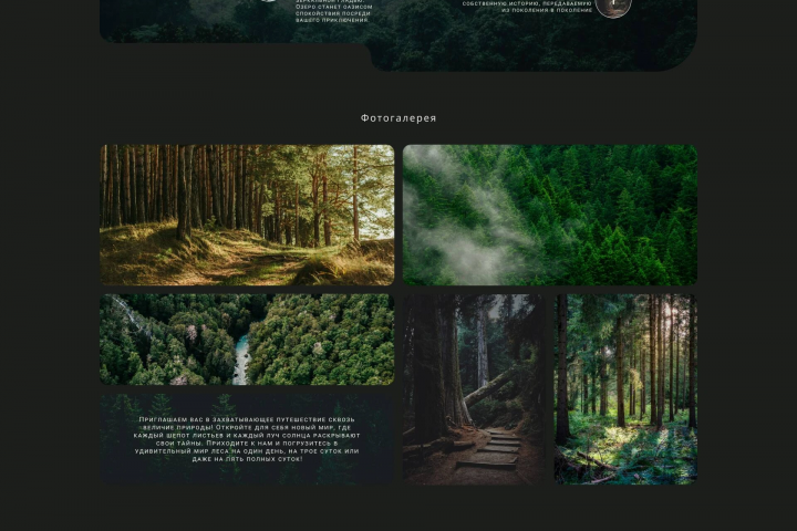 Дизайн лендинг страницы